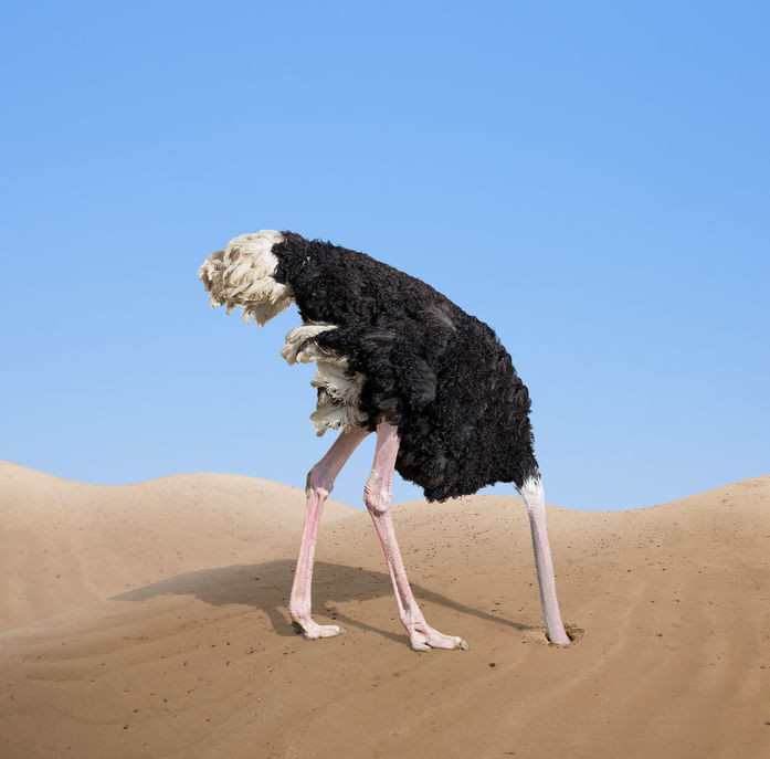 Don't be like an ostrich with your head in the sand... We can help you understand the finances of your divorce.